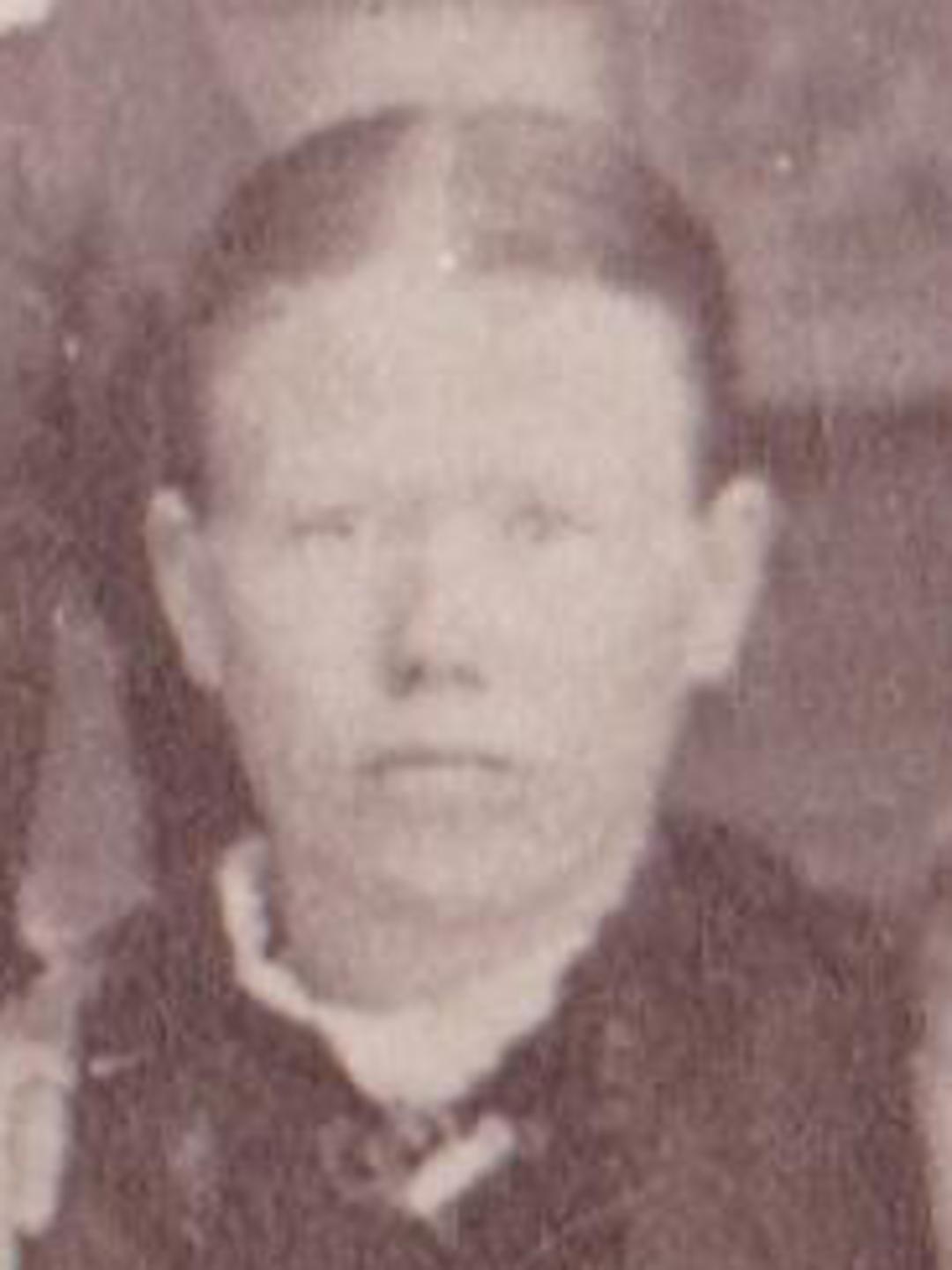 Pernella Sandberg (1853 - 1931) Profile